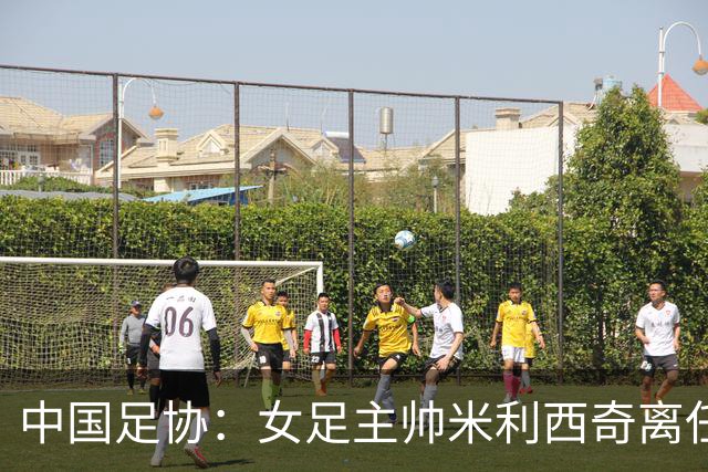 中国足协：女足主帅米利西奇离任