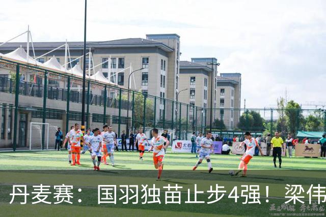 丹麦赛：国羽独苗止步4强！梁伟铿/王昶1-2世界第三，无缘交手三连胜