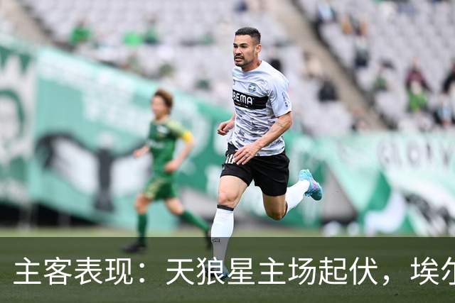 主客表现：天狼星主场起伏，埃尔夫斯堡客场更稳