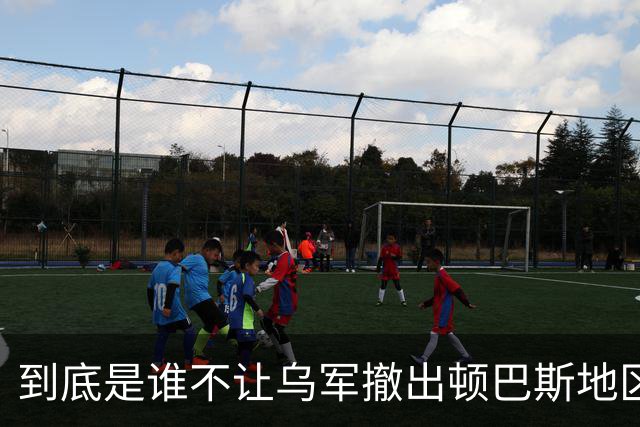 到底是谁不让乌军撤出顿巴斯地区？英国分析师抛出颠覆性判断：乌军撤出顿巴斯地区的决定权，并不完全握在泽连斯基手里
