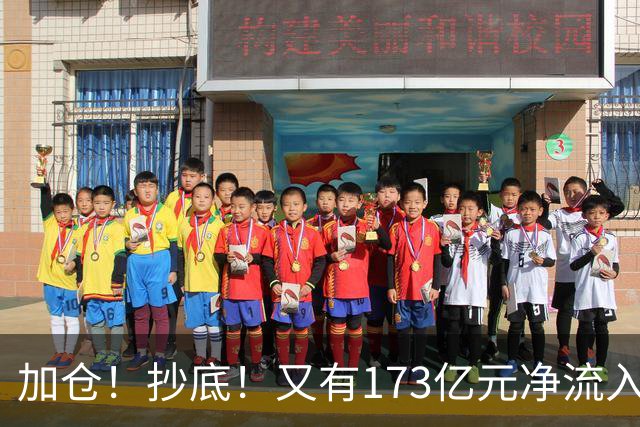 加仓！抄底！又有173亿元净流入