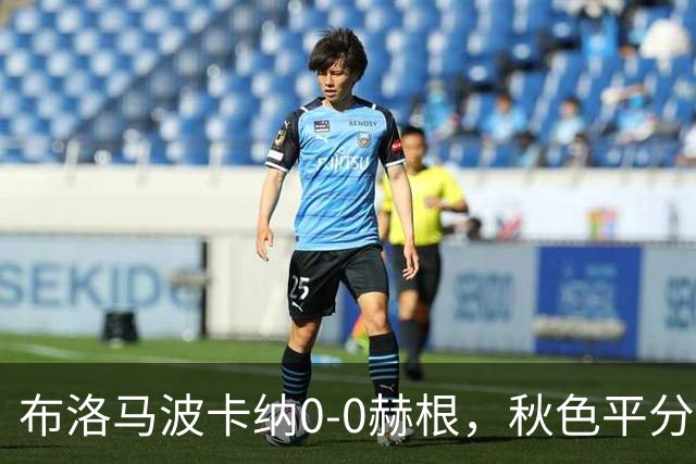布洛马波卡纳0-0赫根，秋色平分
