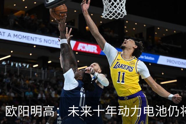 欧阳明高：未来十年动力电池仍将以磷酸铁锂为主，半固态电池不能与全固态混为一谈