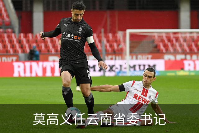 莫高义任云南省委书记