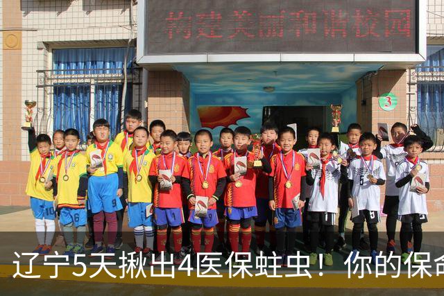 辽宁5天揪出4医保蛀虫！你的保命钱还安全吗？