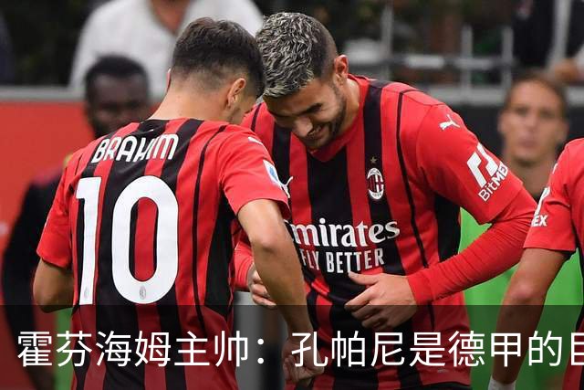 霍芬海姆主帅：孔帕尼是德甲的巨大财富，祝愿他早日康复